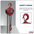 2.5m Chain Block 1 Tonne CB1000
