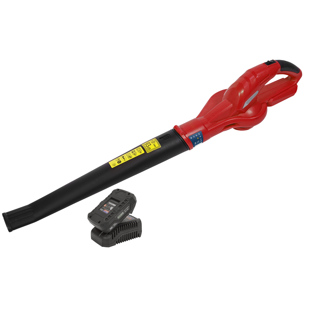 SV20 Series Cordless Leaf Blower with 20V 2Ah Battery & Charger CB20VCOMBO2
