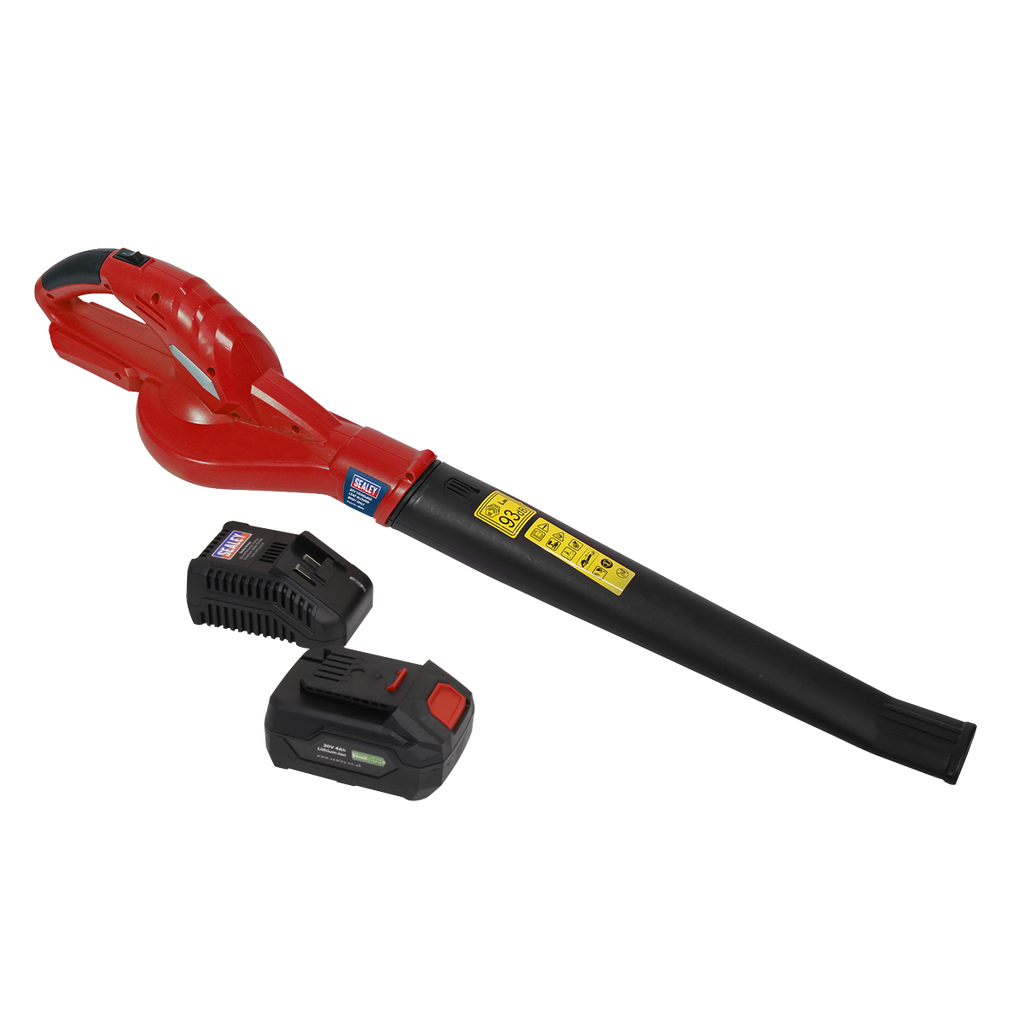 SV20 Series Cordless Leaf Blower with 20V 4Ah Battery & Charger CB20VCOMBO4
