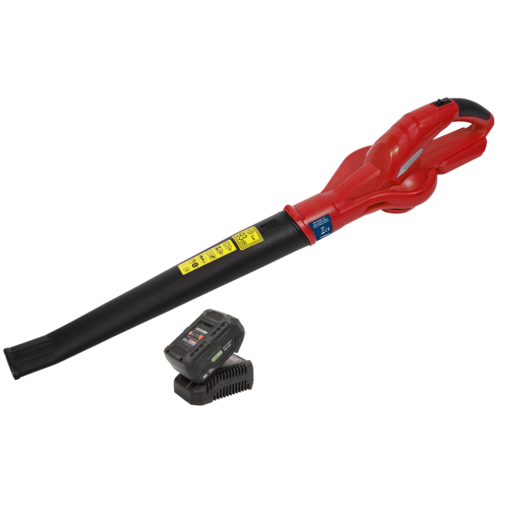 SV20 Series Cordless Leaf Blower with 20V 4Ah Battery & Charger CB20VCOMBO4