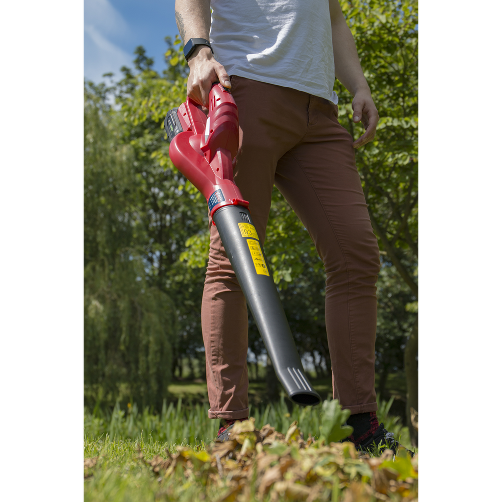 SV20 Series Cordless Leaf Blower with 20V 2Ah Battery & Charger CB20VCOMBO2