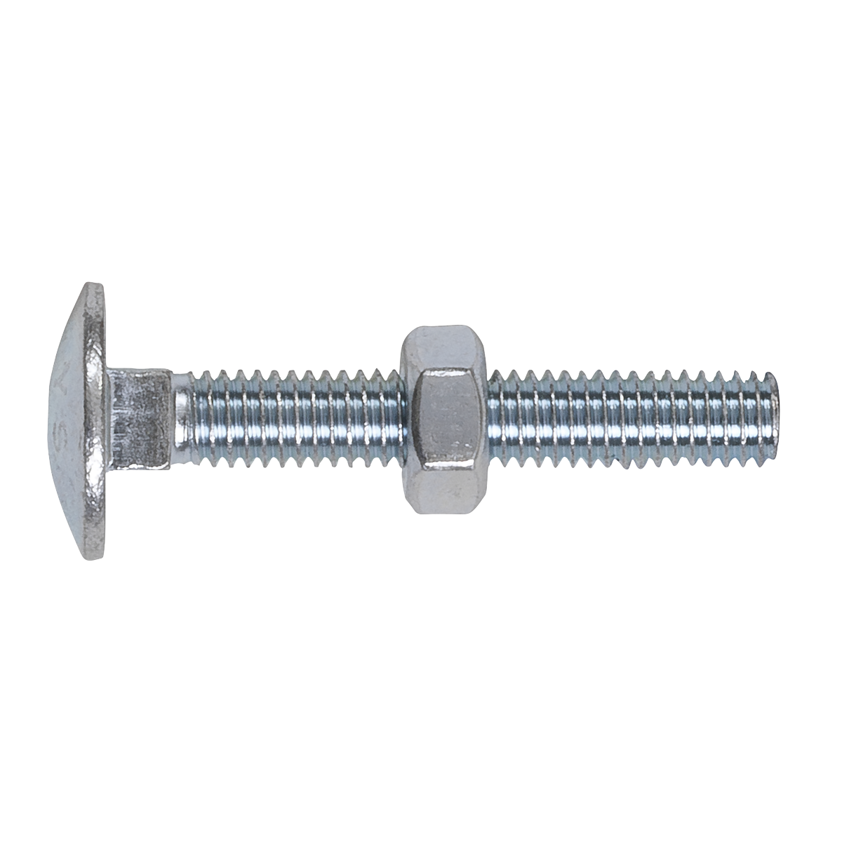 Zinc Plated Coach Bolt & Nut M6 x 40mm, DIN 603 - Pack of 100 CBN640