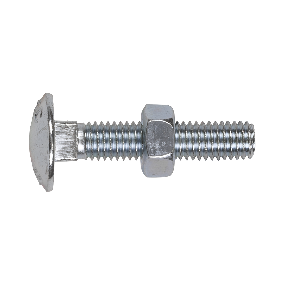 Zinc Plated Coach Bolt & Nut M8 x 40mm, DIN 603 - Pack of 50 CBN840