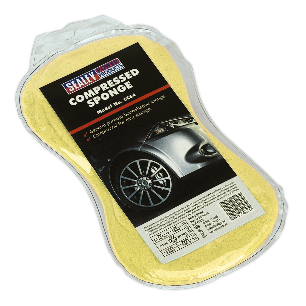 Large Sponge CC64