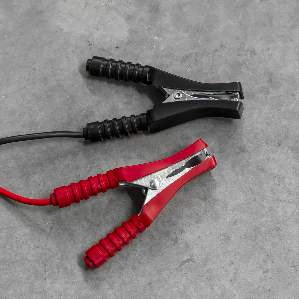 12/24V Battery Charger 19A 230V CHARGE115