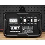 12/24V Battery Charger 19A 230V CHARGE115