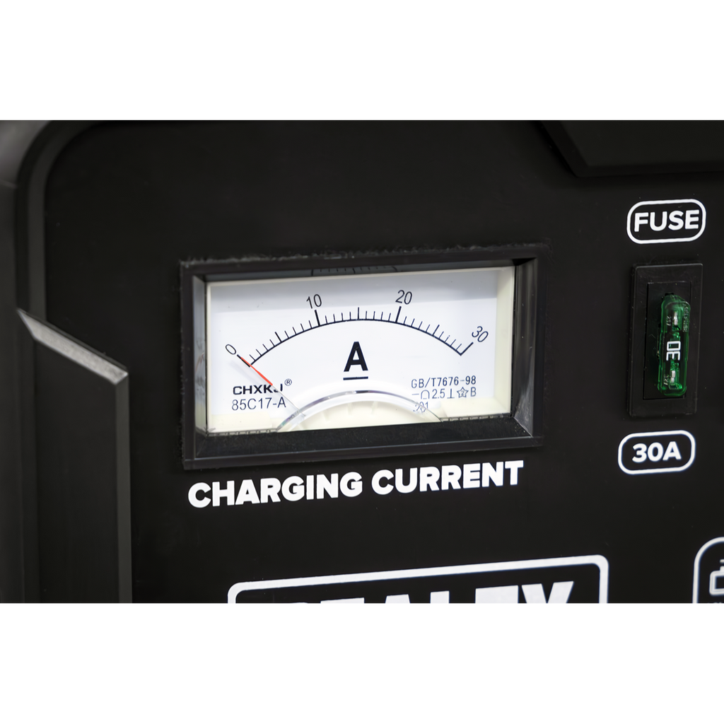 12/24V Battery Charger 19A 230V CHARGE115