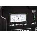 12/24V Battery Charger 19A 230V CHARGE115