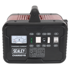 12/24V Battery Charger 19A 230V CHARGE115