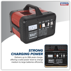12/24V Battery Charger 28A 230V CHARGE124
