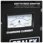 12/24V Battery Charger 28A 230V CHARGE124