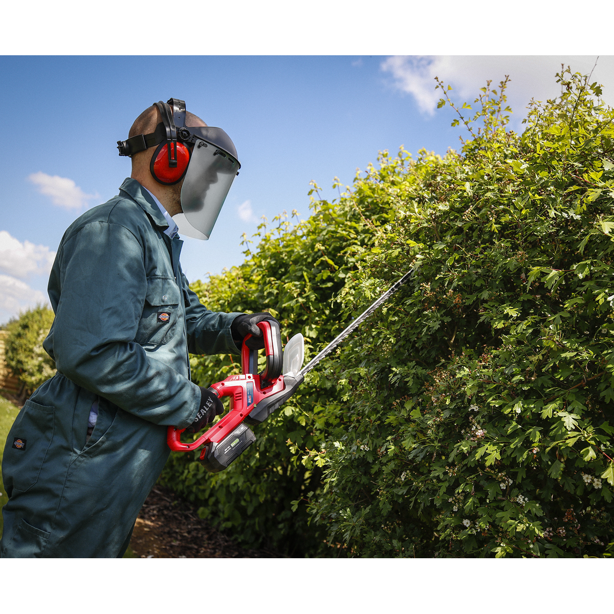 SV20 Series Cordless Hedge Trimmer 20V 4Ah with Battery & Charger CHT20VCOMBO4