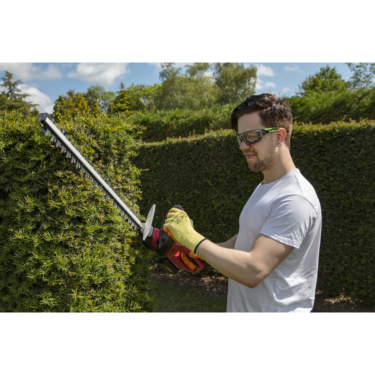 SV20 Series Cordless Hedge Trimmer 20V 4Ah with Battery & Charger CHT20VCOMBO4