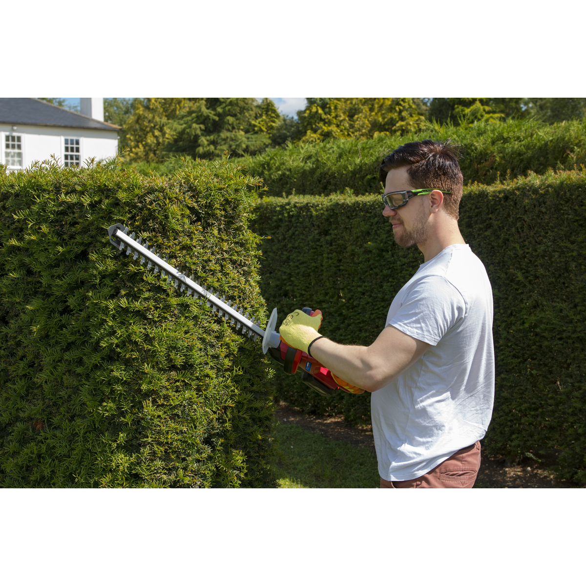 SV20 Series Cordless Hedge Trimmer 20V 4Ah with Battery & Charger CHT20VCOMBO4