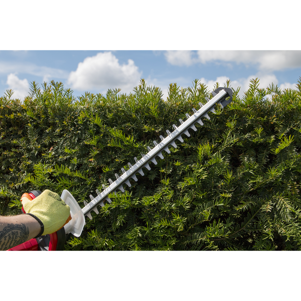 SV20 Series Cordless Hedge Trimmer 20V 4Ah with Battery & Charger CHT20VCOMBO4