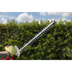SV20 Series Cordless Hedge Trimmer 20V 4Ah with Battery & Charger CHT20VCOMBO4