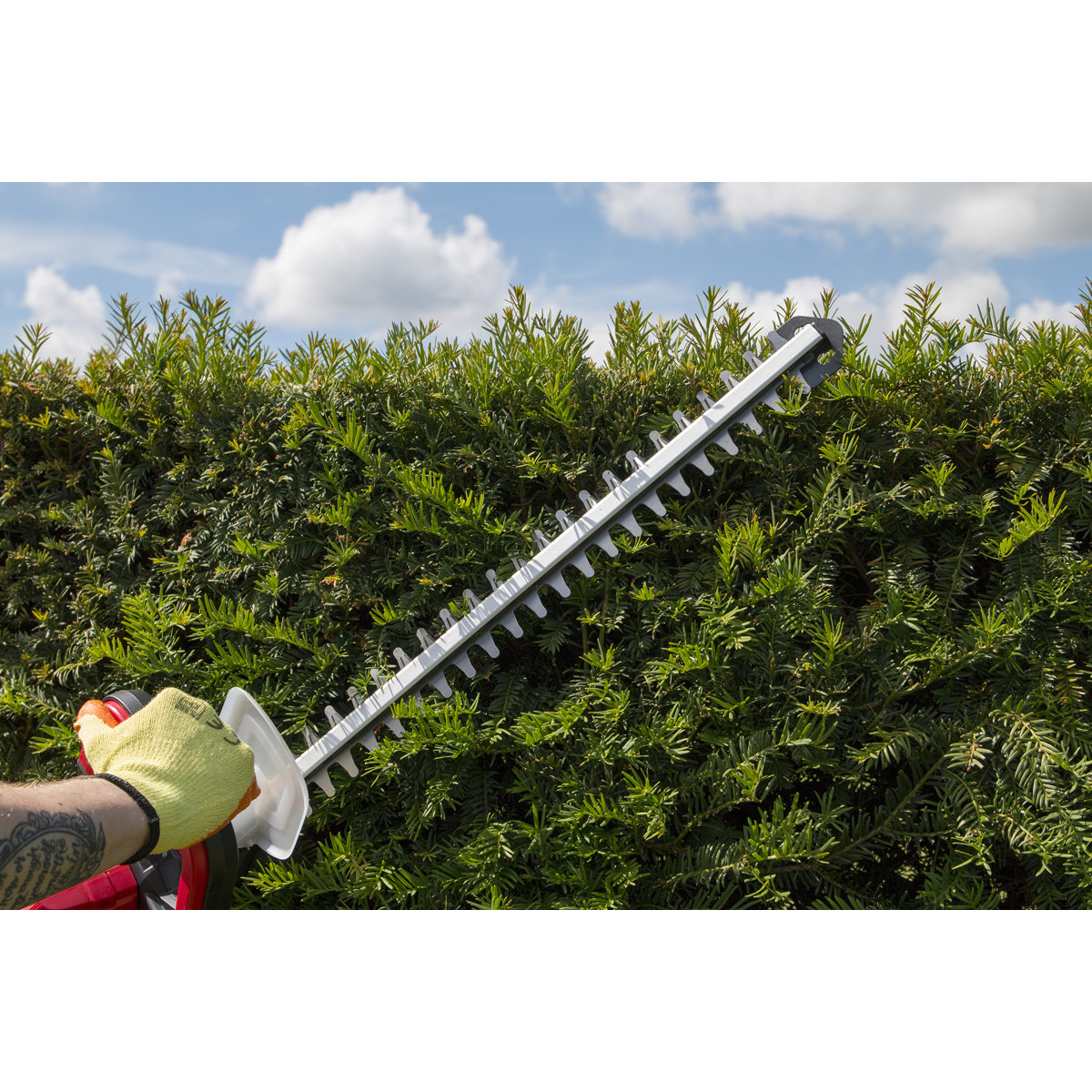 SV20 Series Cordless Hedge Trimmer 20V 4Ah with Battery & Charger CHT20VCOMBO4