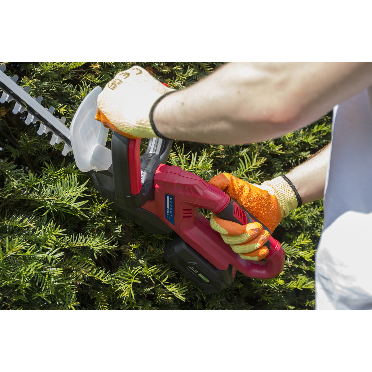 SV20 Series 52cm Cordless Hedge Trimmer 20V - Body Only CHT20V