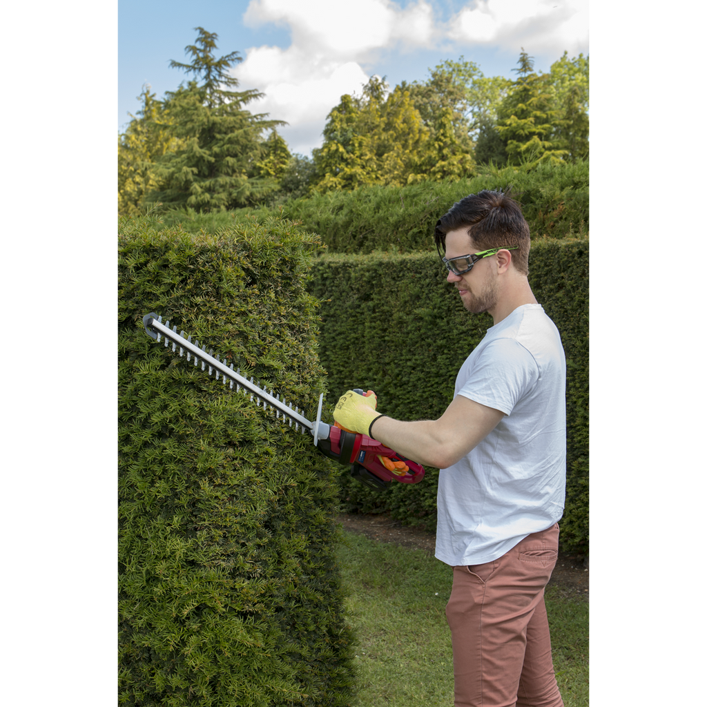 SV20 Series Cordless Hedge Trimmer 20V 4Ah with Battery & Charger CHT20VCOMBO4
