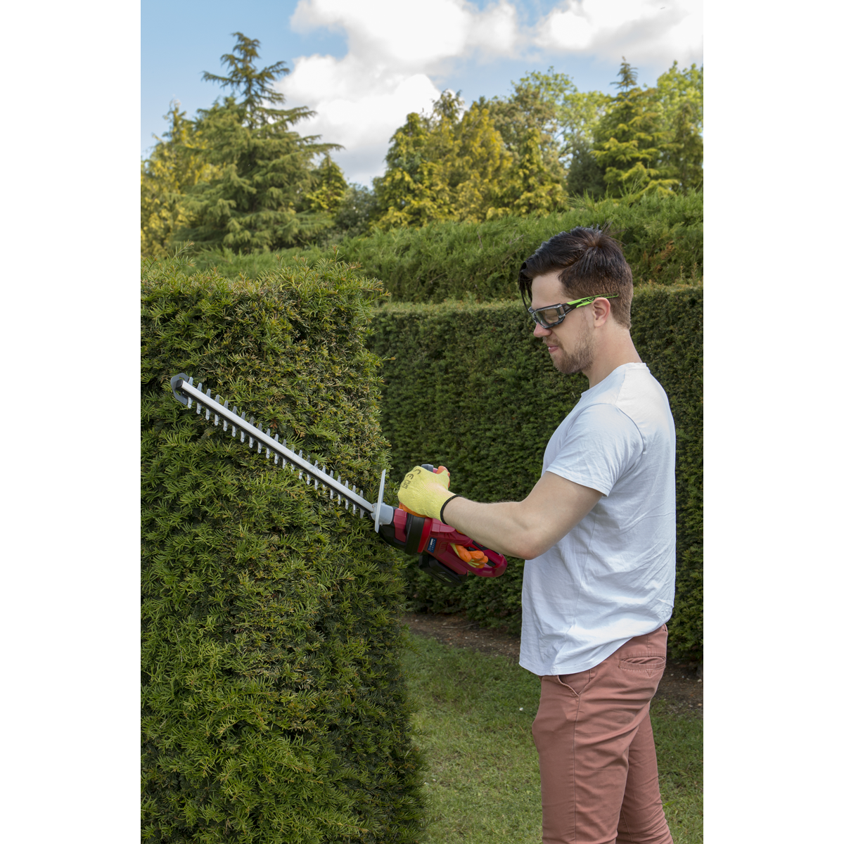 SV20 Series Cordless Hedge Trimmer 20V 4Ah with Battery & Charger CHT20VCOMBO4