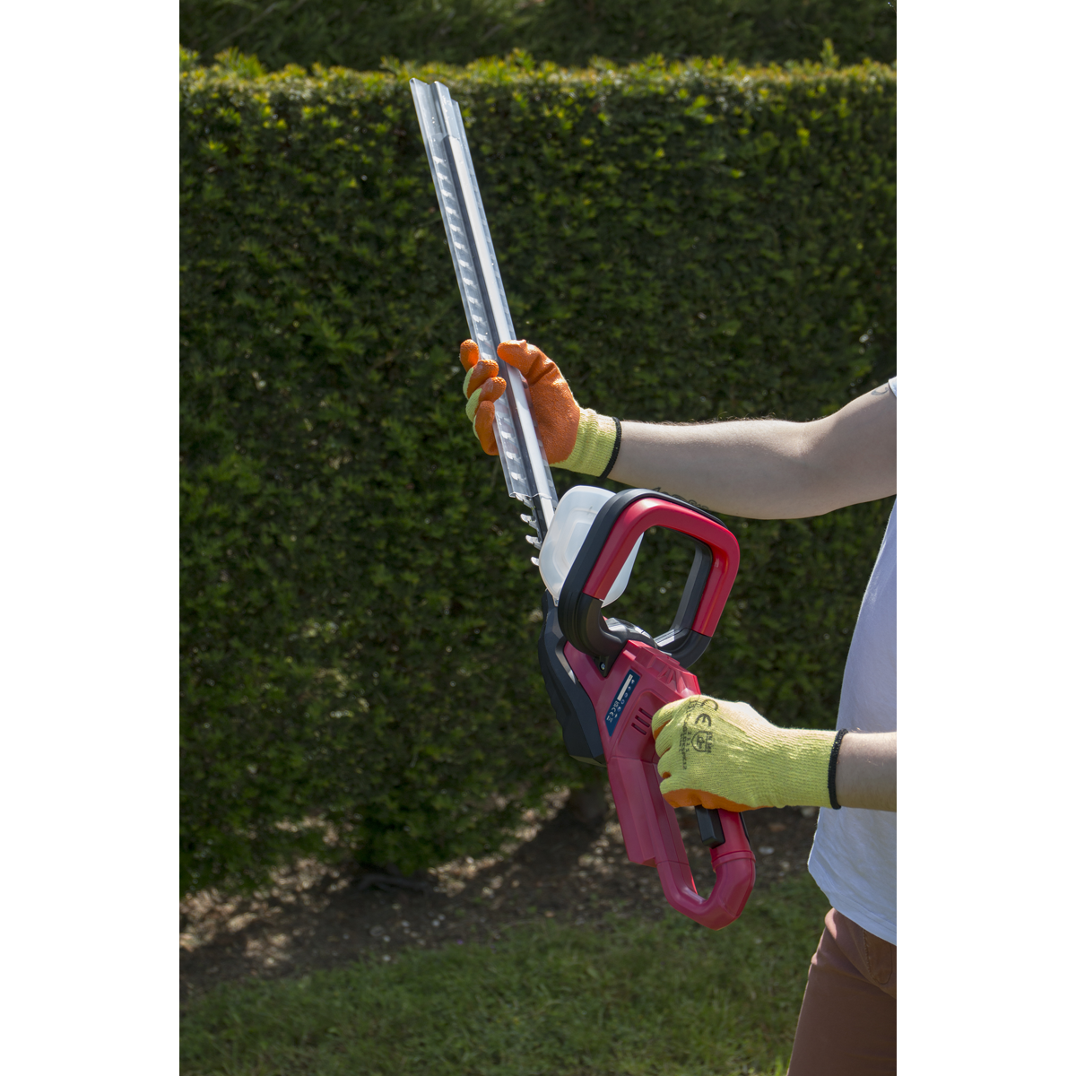 SV20 Series Cordless Hedge Trimmer 20V 4Ah with Battery & Charger CHT20VCOMBO4