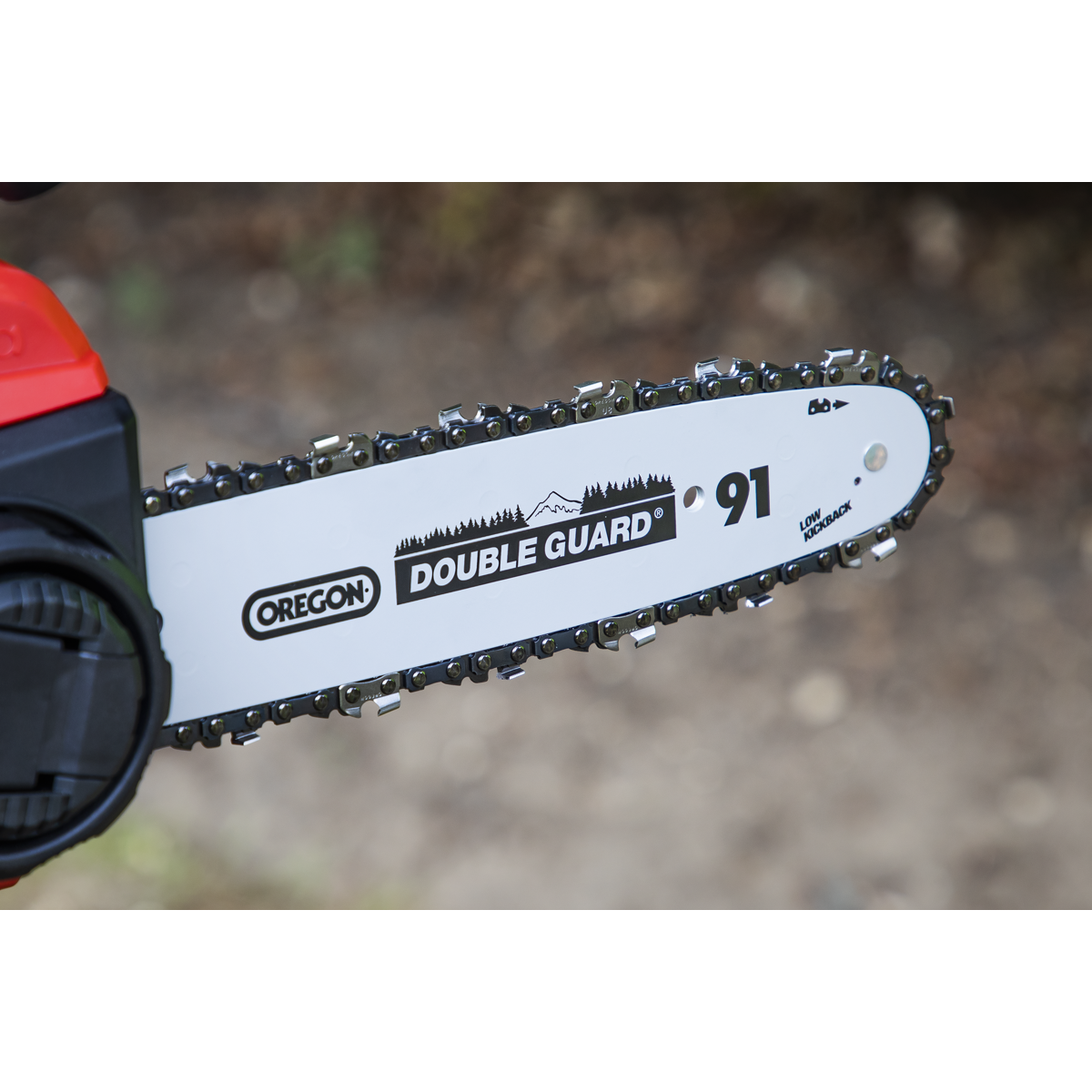 SV20 Series 25cm Cordless Chainsaw Kit 20V 4Ah CP20VCHSKIT1