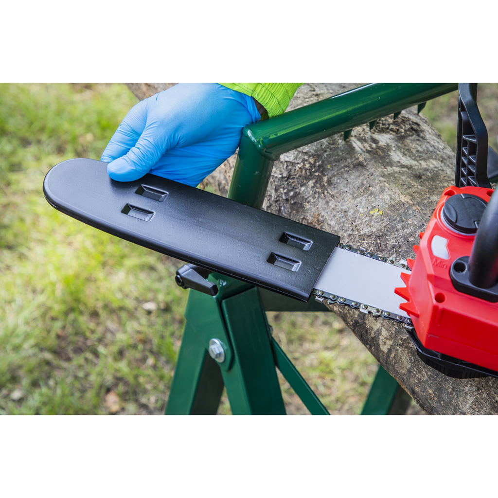 SV20 Series 25cm Cordless Chainsaw Kit 20V 4Ah CP20VCHSKIT1