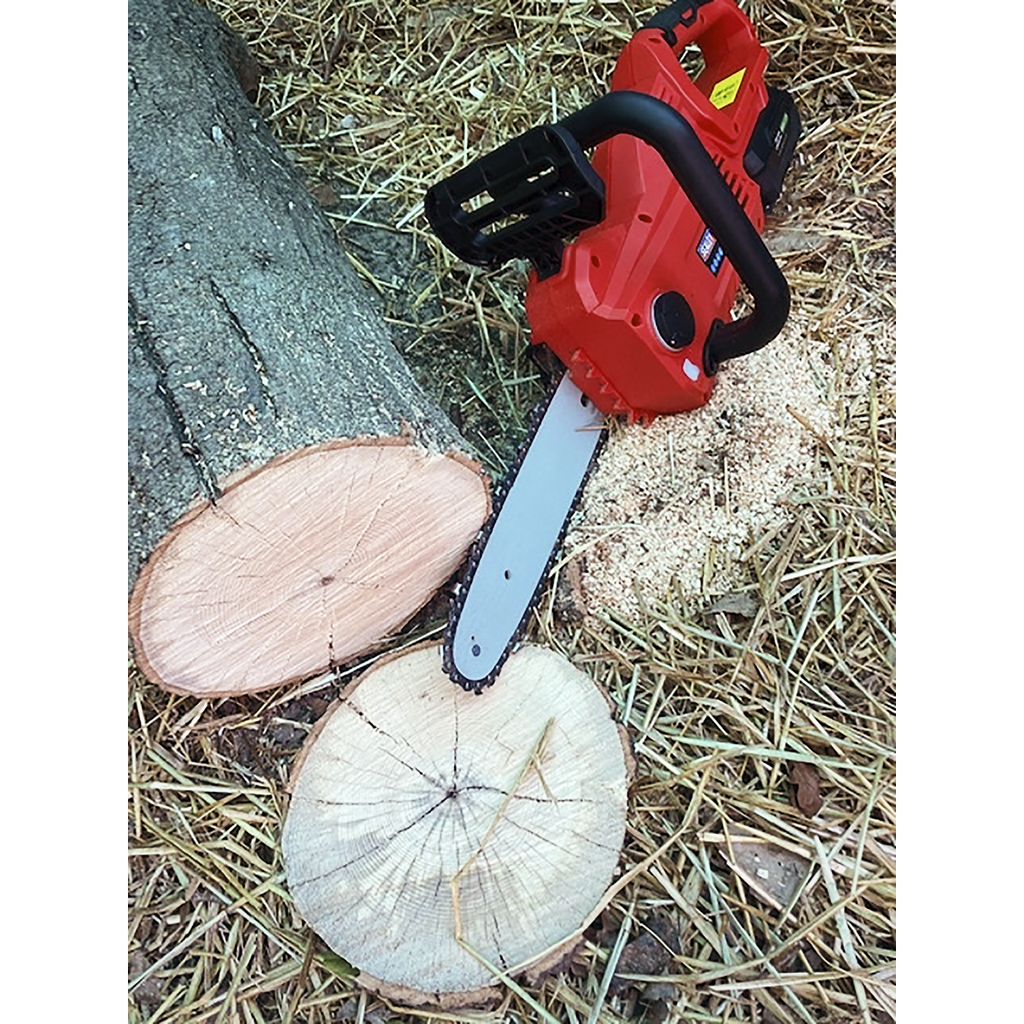 SV20 Series 25cm Cordless Chainsaw Kit 20V 4Ah - 2 Batteries CP20VCHSKIT