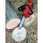 SV20 Series 25cm Cordless Chainsaw 20V - Body Only CP20VCHS