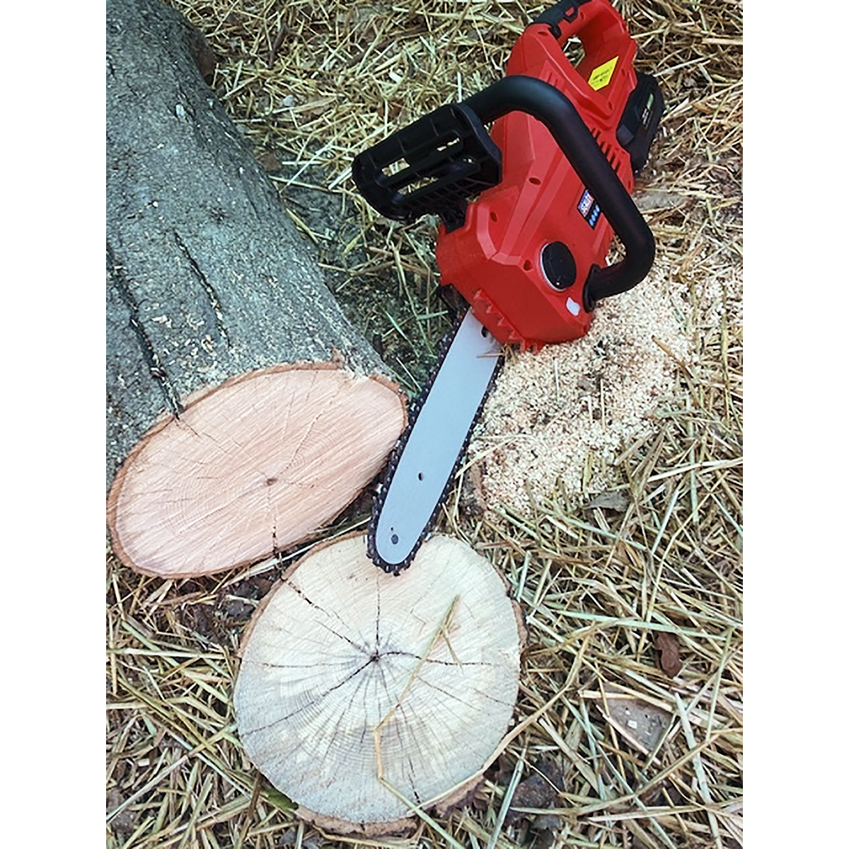 SV20 Series 25cm Cordless Chainsaw 20V - Body Only CP20VCHS