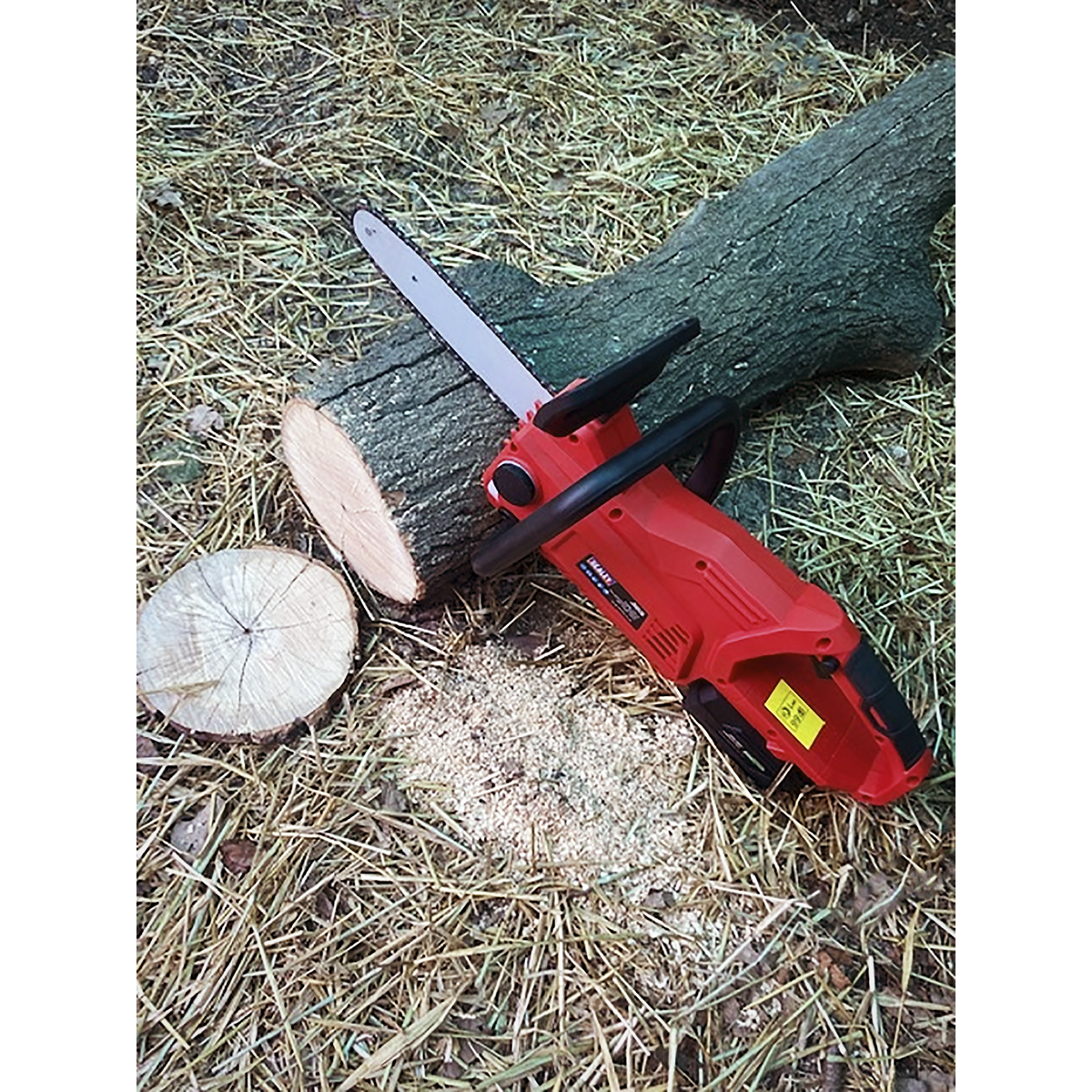 SV20 Series 25cm Cordless Chainsaw 20V - Body Only CP20VCHS