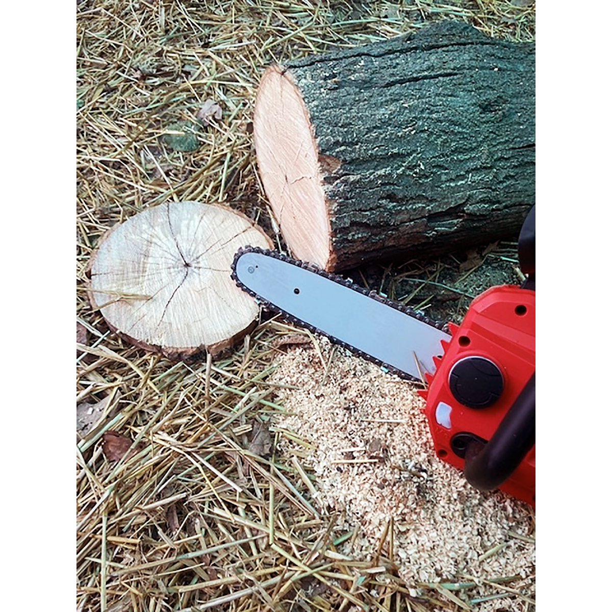 SV20 Series 25cm Cordless Chainsaw 20V - Body Only CP20VCHS
