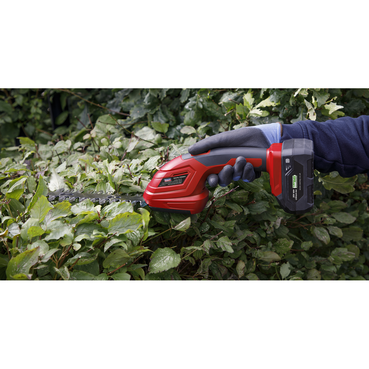 2 x SV20 Series Cordless Power Tool Gardening Kit 20V - 2 Batteries CP20VCOMBO14