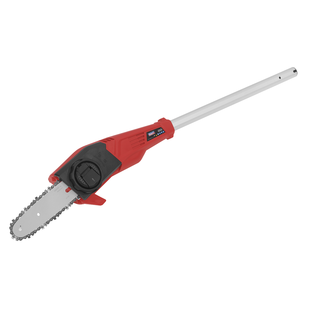 SV20 Series 20cm Cordless Telescopic Chainsaw Kit 20V 4Ah CP20VTP02