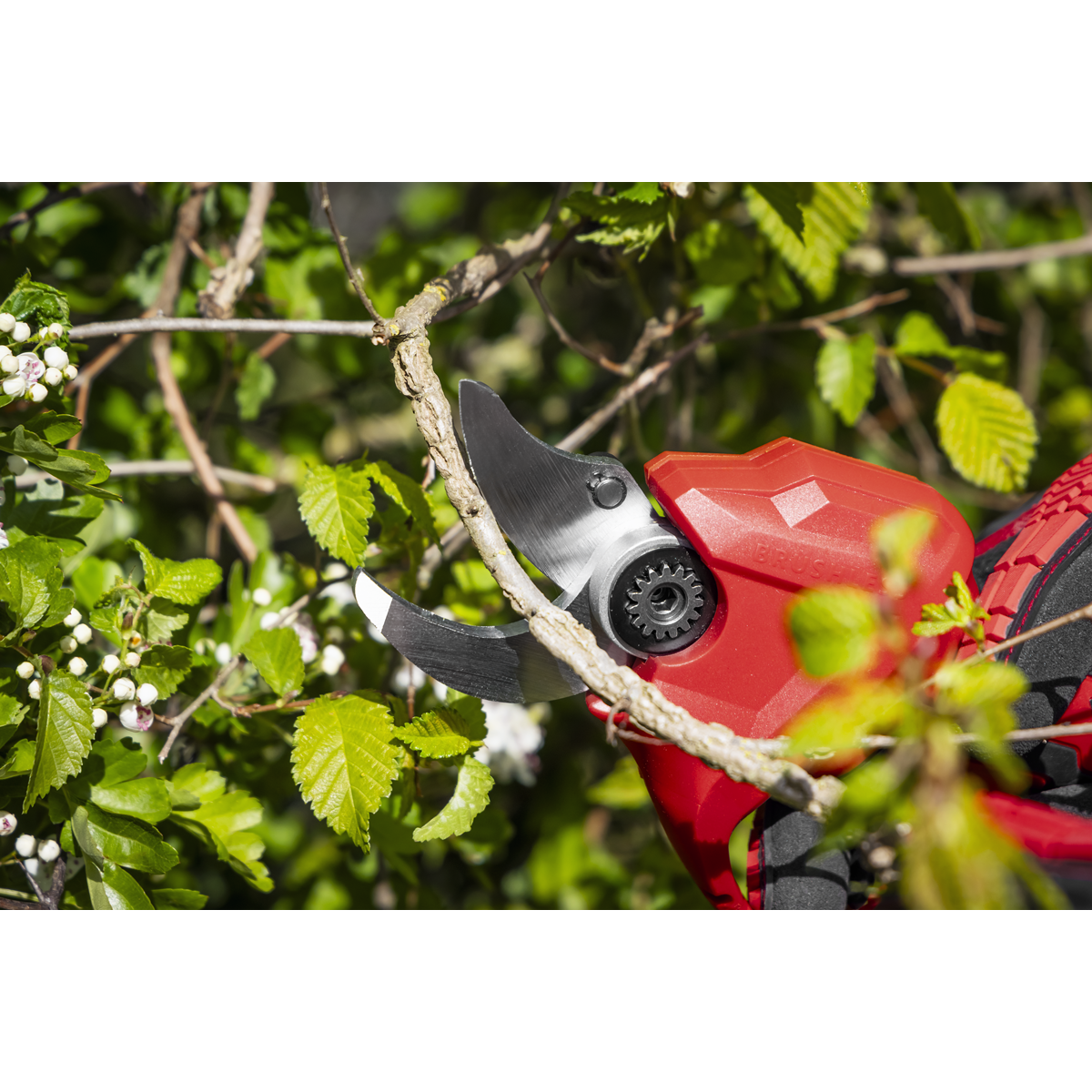SV20 Series Brushless Cordless Pruning Shears Kit 20V 2Ah - 2 Batteries CP20VPSKIT