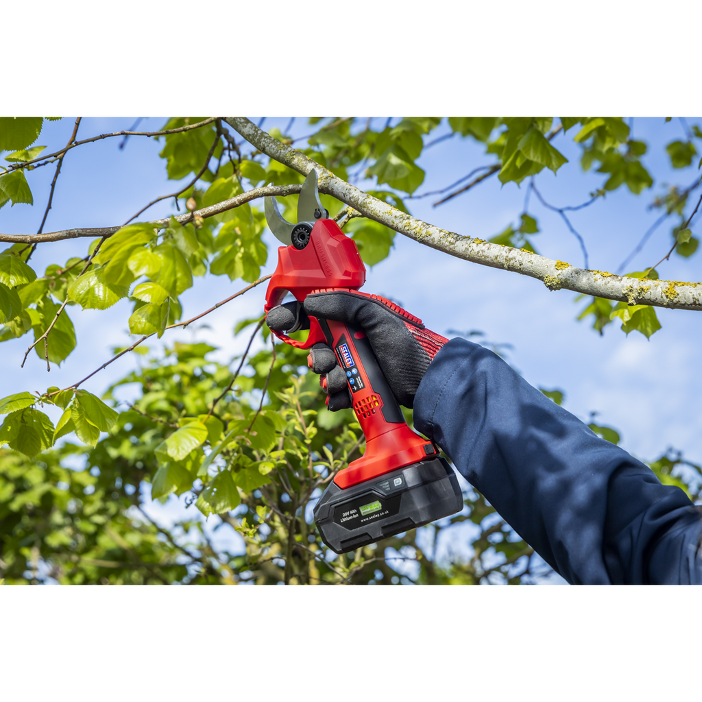 SV20 Series Brushless Cordless Pruning Shears Kit 20V 2Ah - 2 Batteries CP20VPSKIT