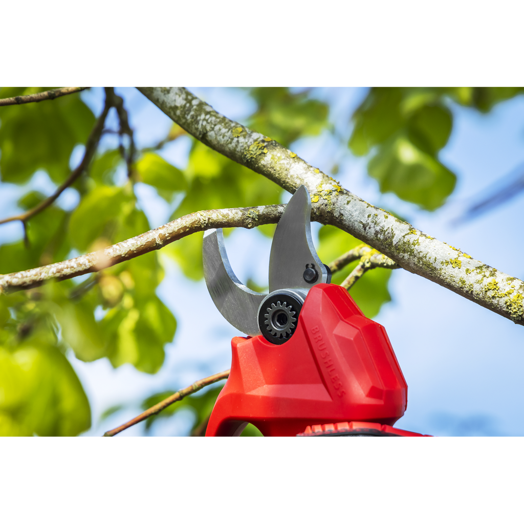 SV20 Series Brushless Cordless Pruning Shears Kit 20V 2Ah - 2 Batteries CP20VPSKIT