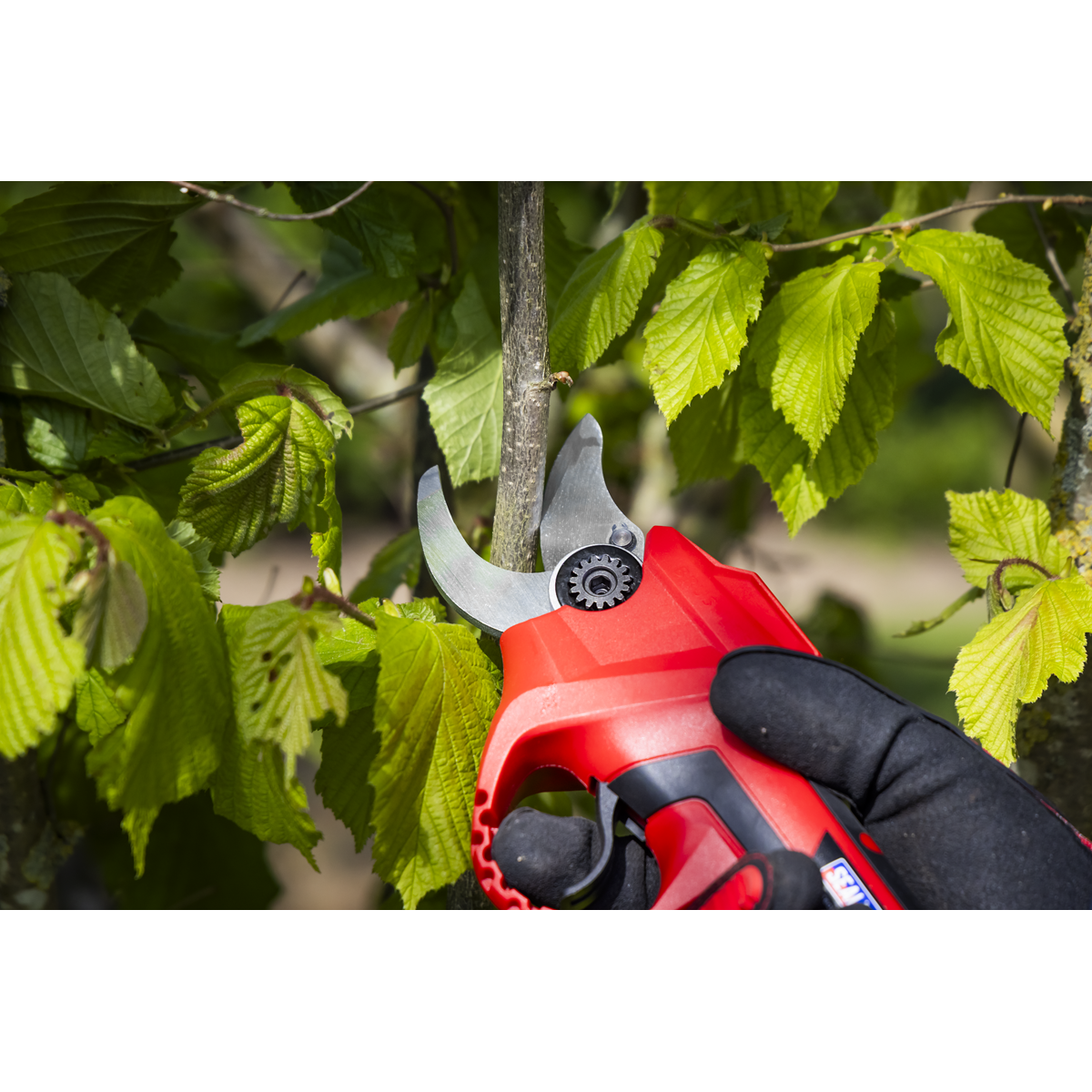 SV20 Series Brushless Cordless Pruning Shears Kit 20V 2Ah - 2 Batteries CP20VPSKIT