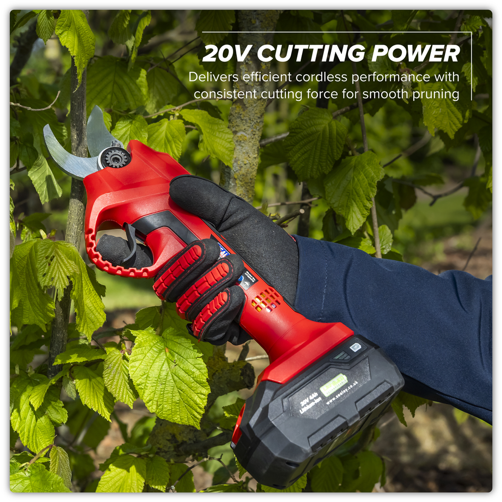 SV20 Series Brushless Cordless Pruning Shears Kit 20V 2Ah - 2 Batteries CP20VPSKIT