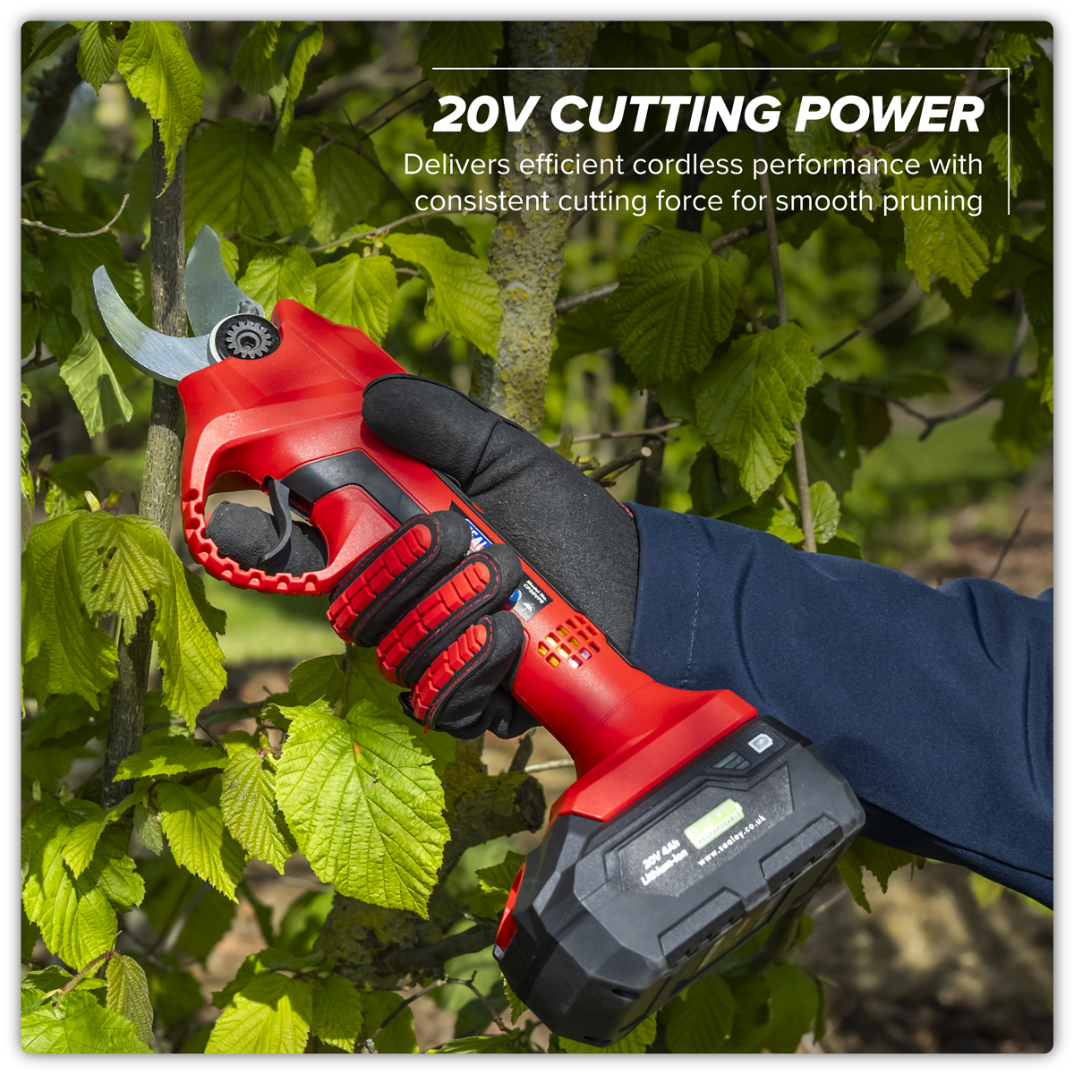 SV20 Series Brushless Cordless Pruning Shears Kit 20V 2Ah - 2 Batteries CP20VPSKIT