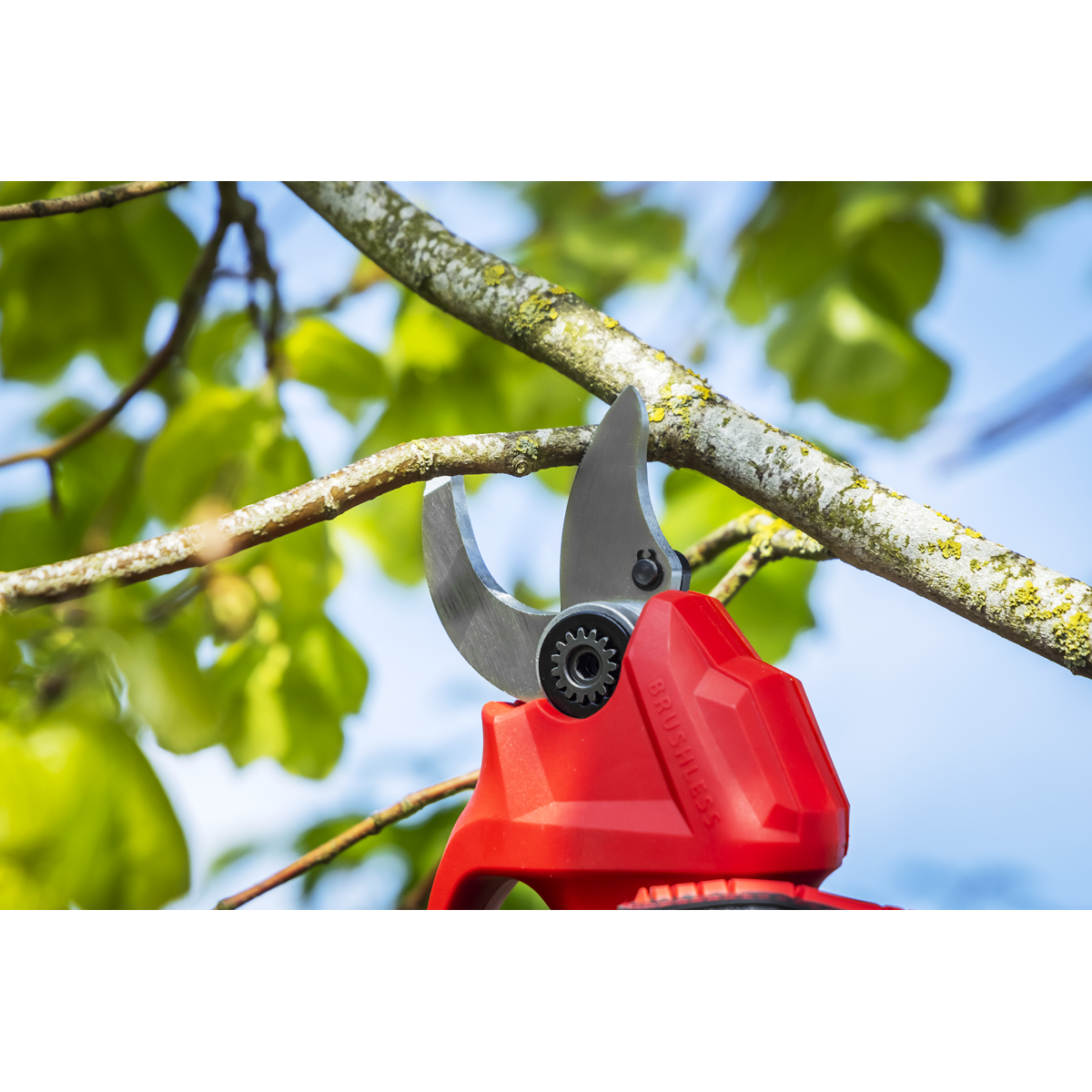 SV20 Series Brushless Cordless Pruning Shears 20V - Body Only CP20VPS