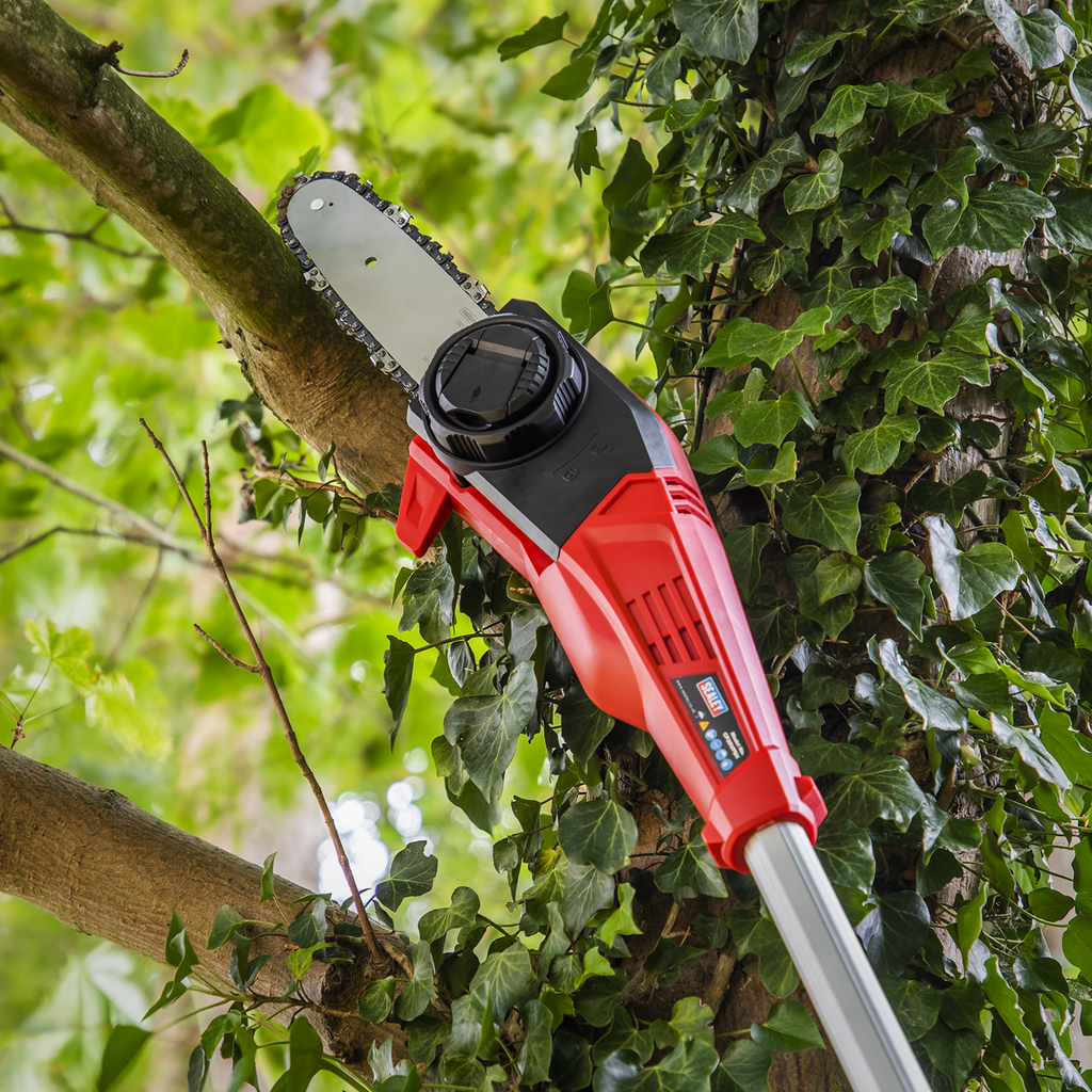 SV20 Series 20cm Cordless Telescopic Chainsaw Kit 20V 4Ah CP20VTP02