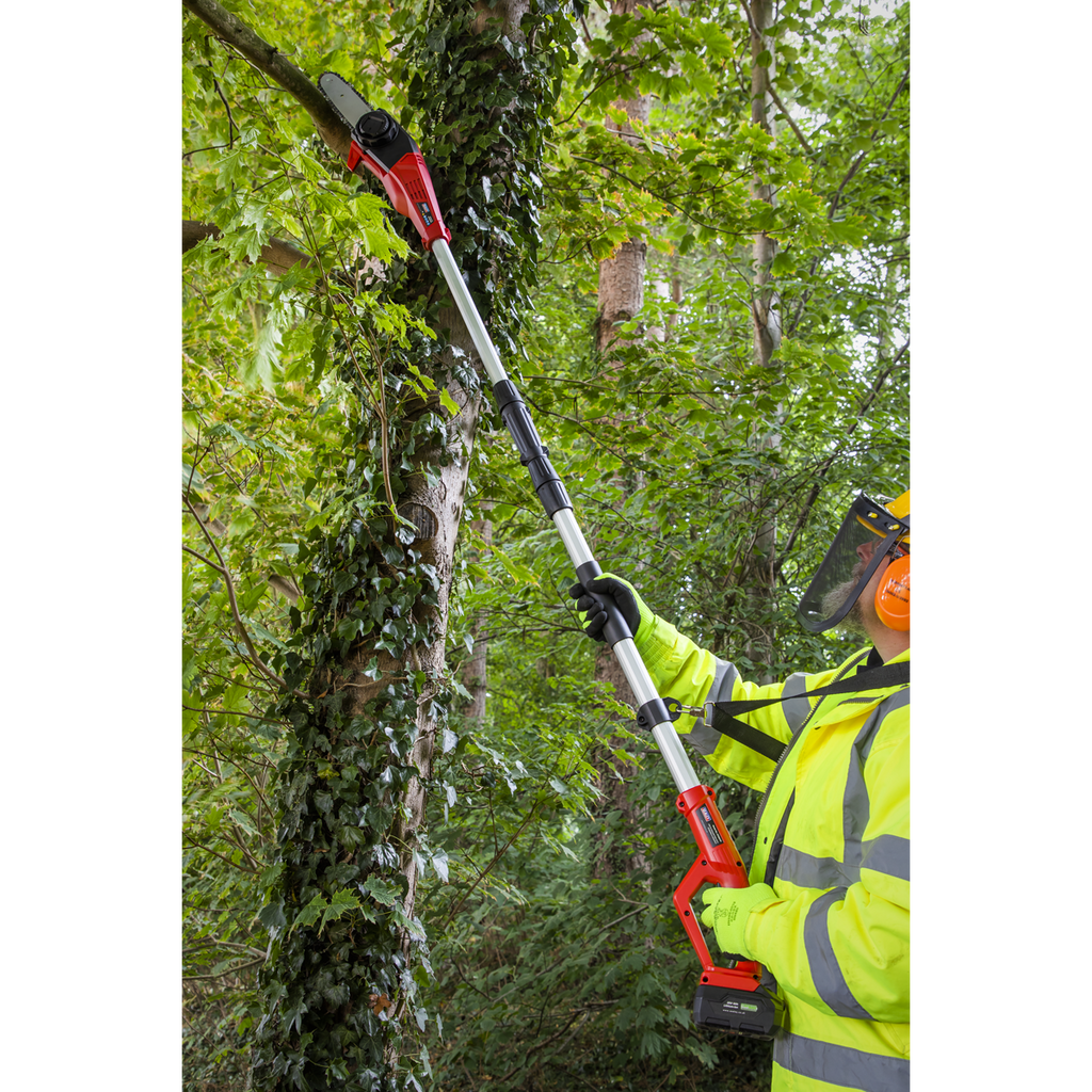 SV20 Series 20cm Cordless Telescopic Chainsaw Kit 20V 4Ah CP20VTP02