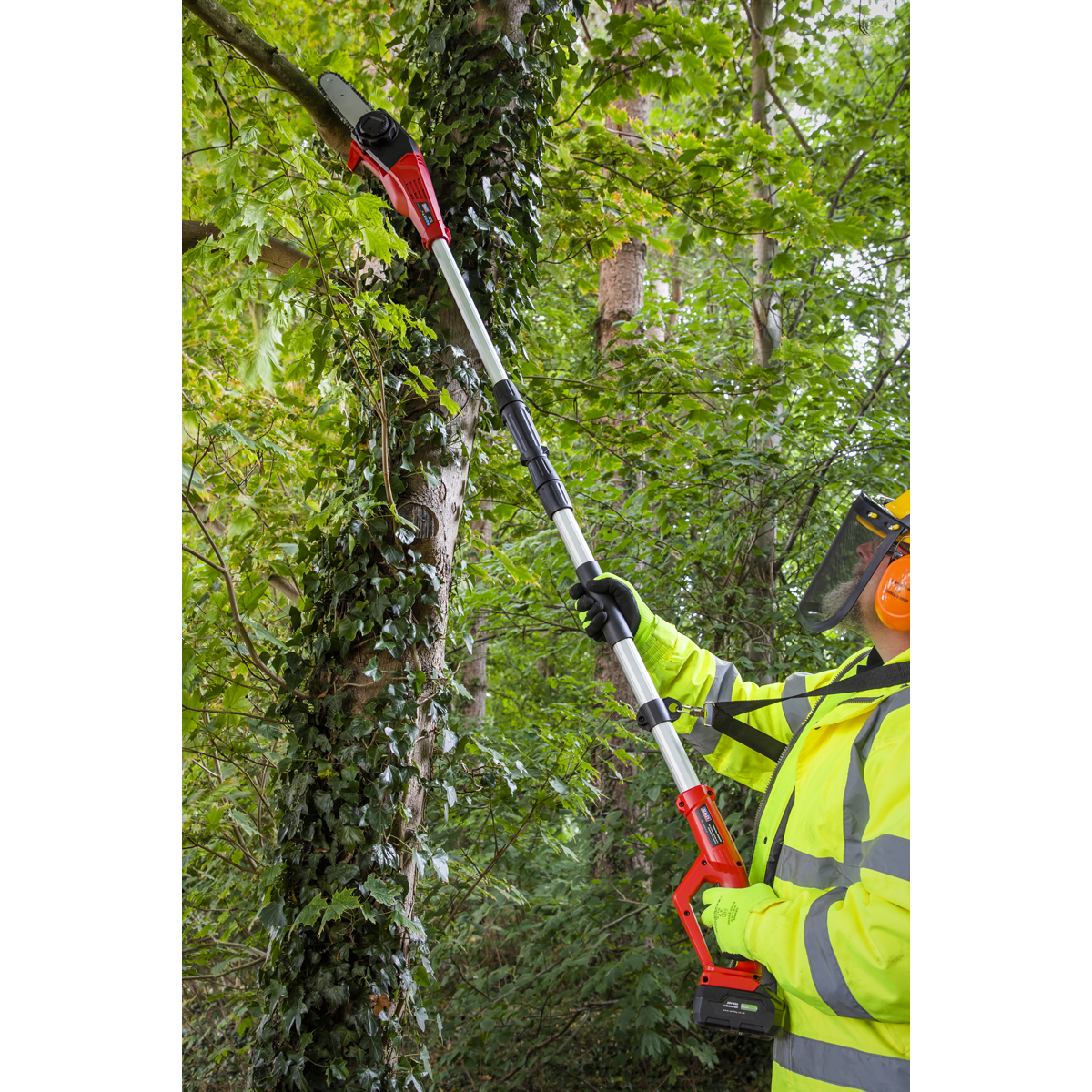 SV20 Series 20cm Cordless Telescopic Chainsaw Kit 20V 4Ah CP20VTP02
