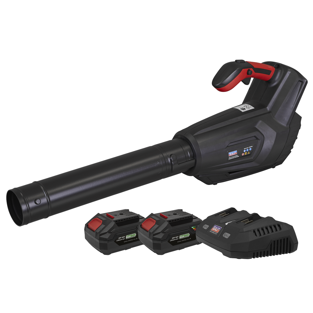 SV20 Series Cordless Blower Kit 40V 4Ah - 2 Batteries CP40VBKIT