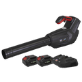 SV20 Series Cordless Blower Kit 40V 4Ah - 2 Batteries CP40VBKIT