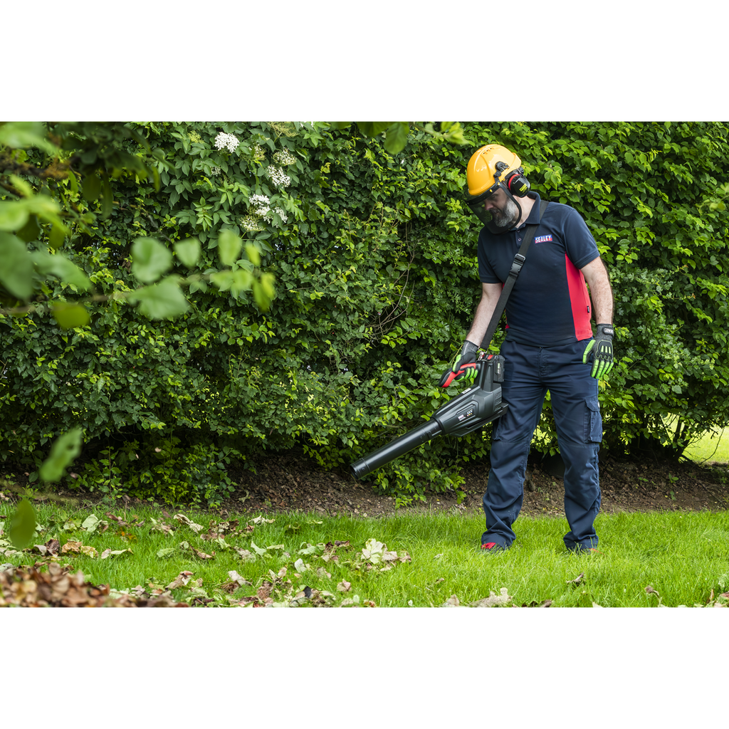 SV20 Series Cordless Blower 40V - Body Only CP40VB