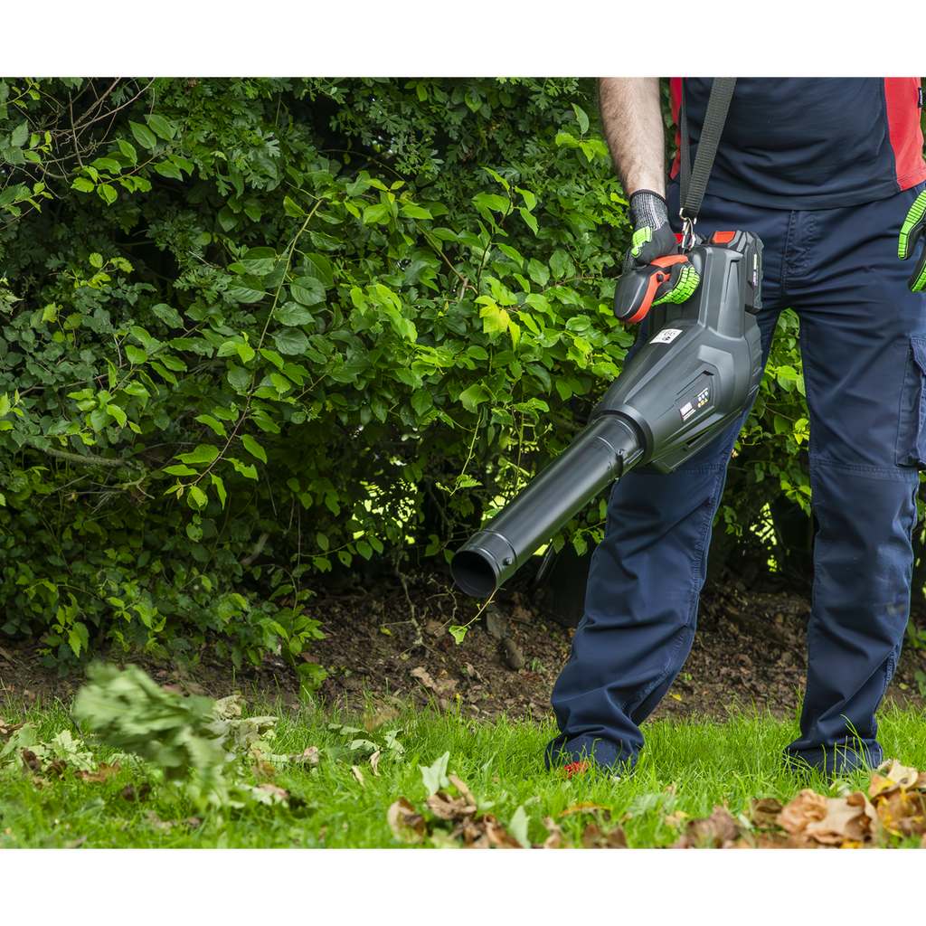 SV20 Series Cordless Blower 40V - Body Only CP40VB