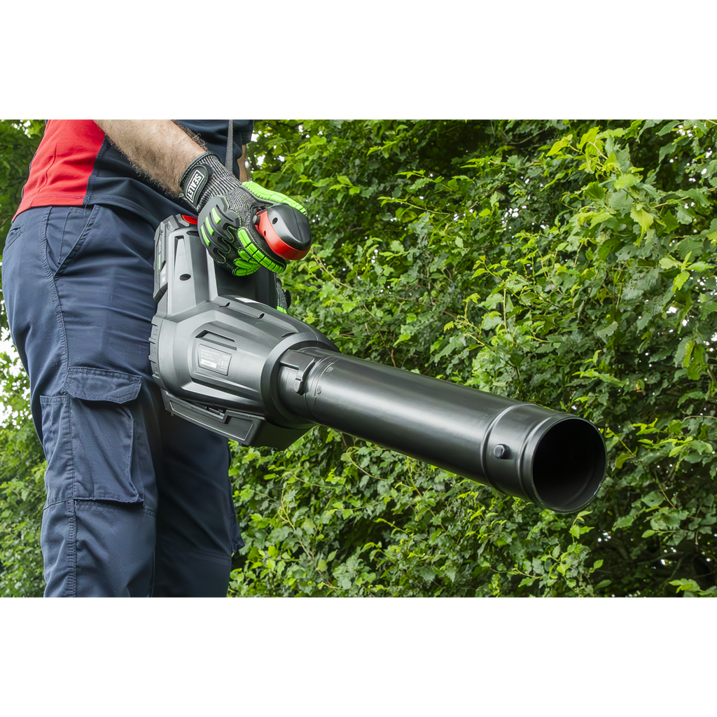 SV20 Series Cordless Blower 40V - Body Only CP40VB