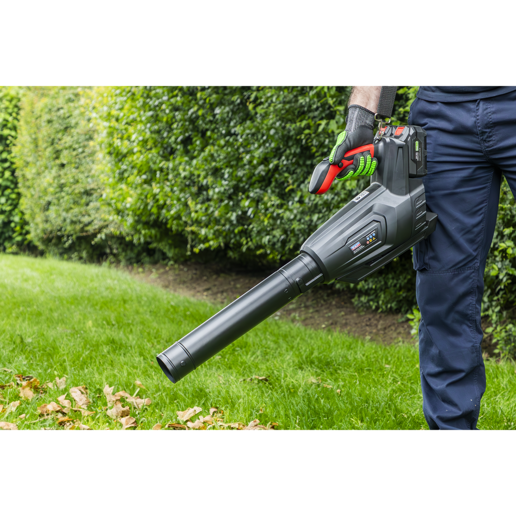 SV20 Series Cordless Blower 40V - Body Only CP40VB